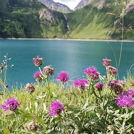 Il Giardino Segreto Lägenhet *