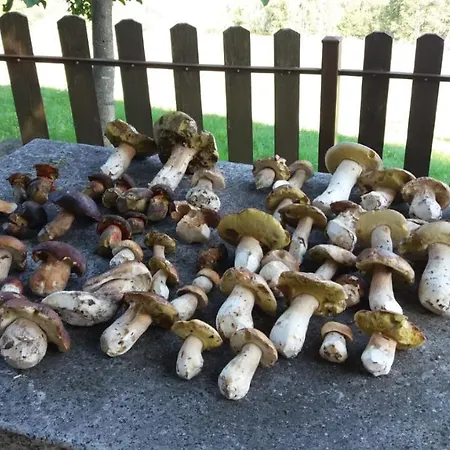 شقة Il Giardino Segreto Beura
