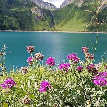 Il Giardino Segreto شقة Beura
