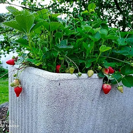 شقة Il Giardino Segreto Beura