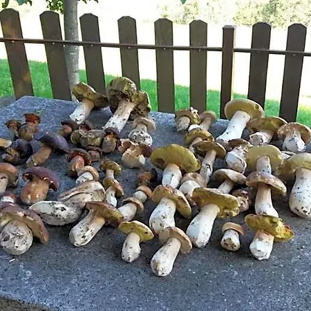 شقة Il Giardino Segreto Beura